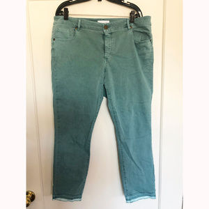 Loft Plus Green Wash Mid Waist Jeans with Raw Hem